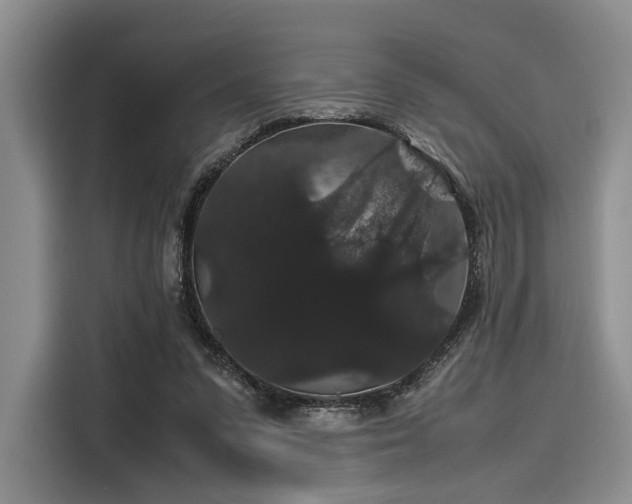 X0000116120303200911301332