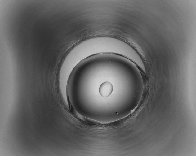 X0000116120305200911301332