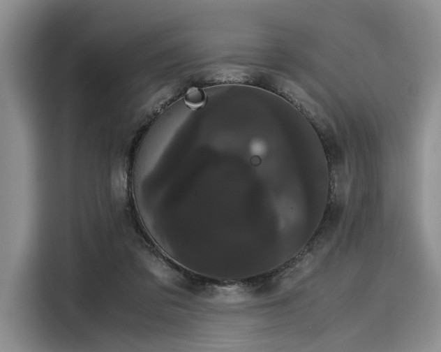 X0000116120309200911301332