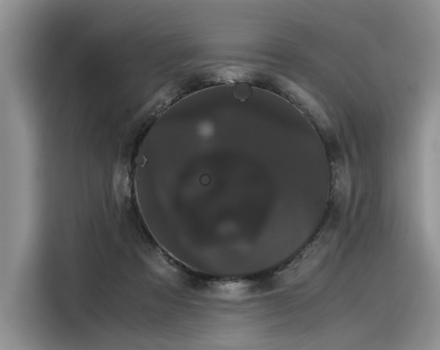 X0000116120313200911301332