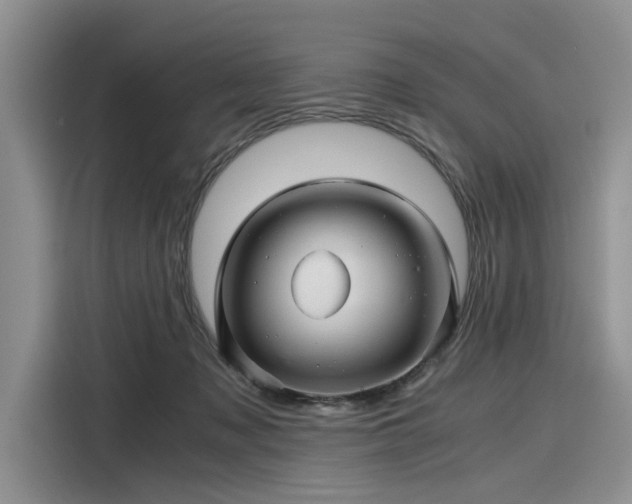 X0000116120317200911301332