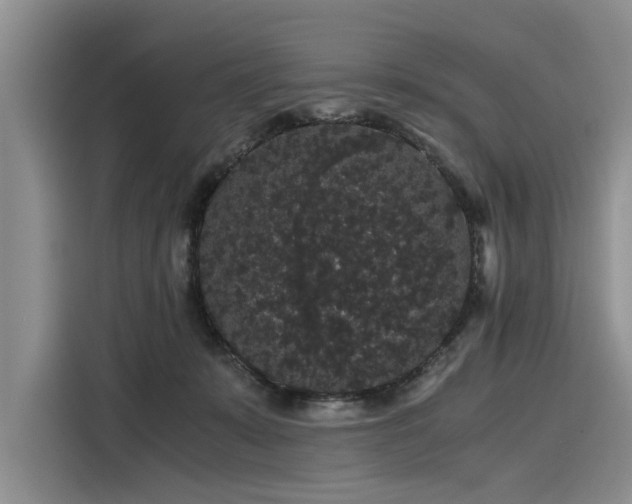 X0000116120319200911301332