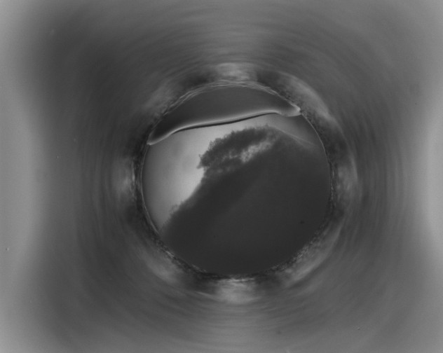 X0000116120320200911301332