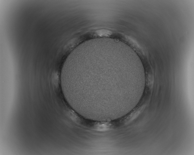 X0000116120321200911301332