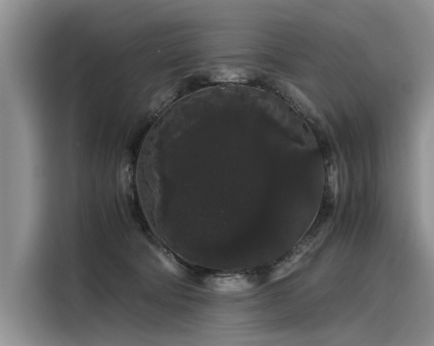 X0000116120322200911301332