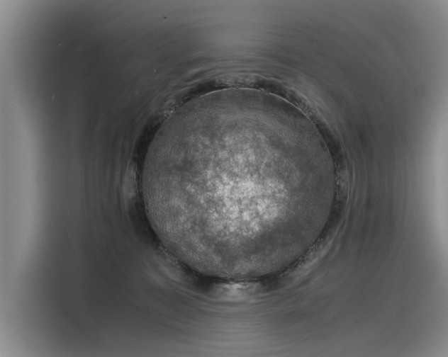 X0000116120323200911301332