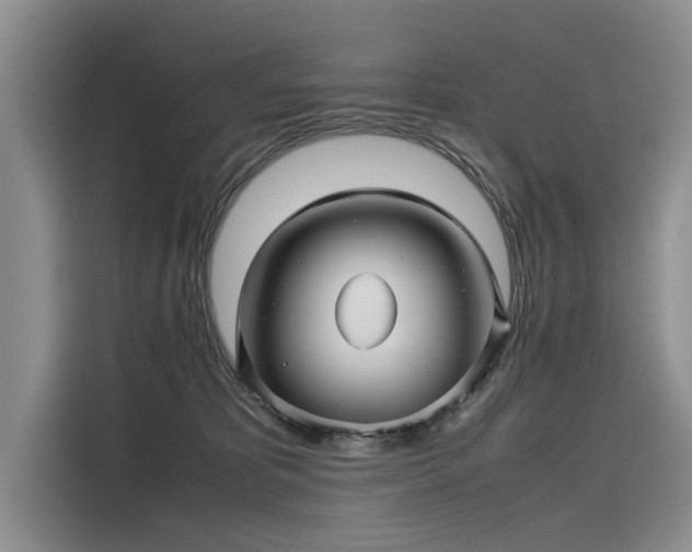 X0000116120325200911301332