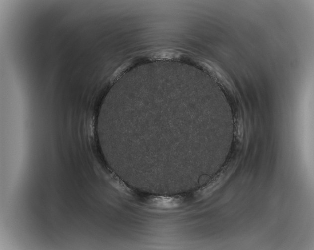 X0000116120326200911301332