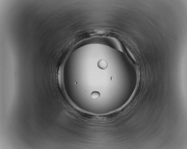 X0000116120328200911301332