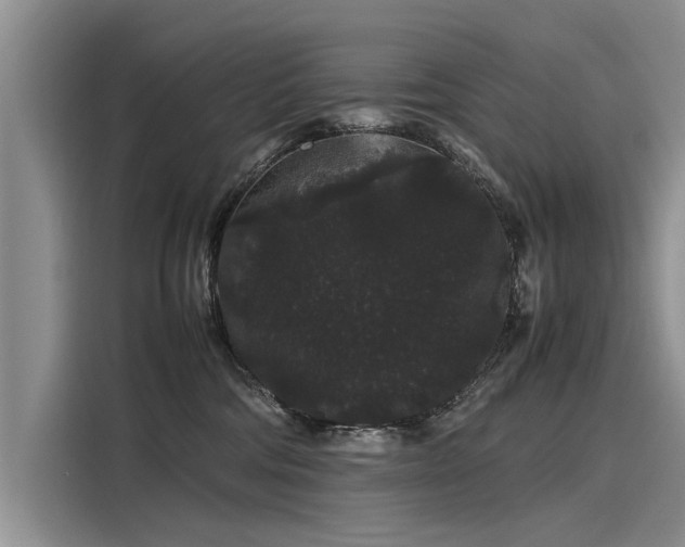 X0000116120330200911301332