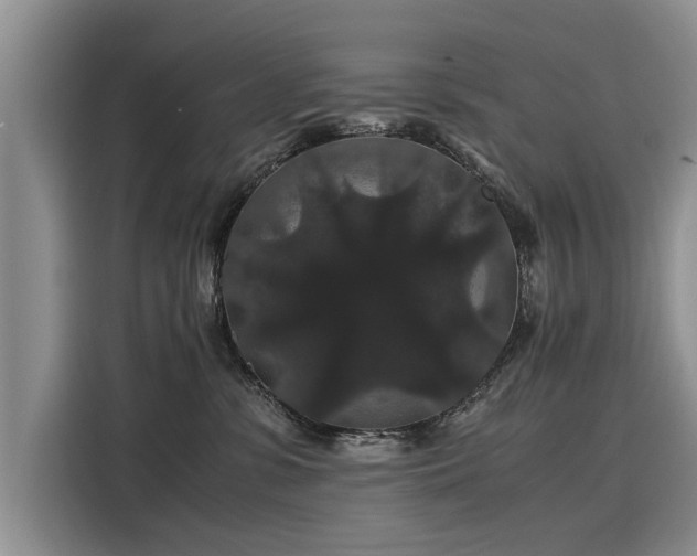 X0000116120331200911301332