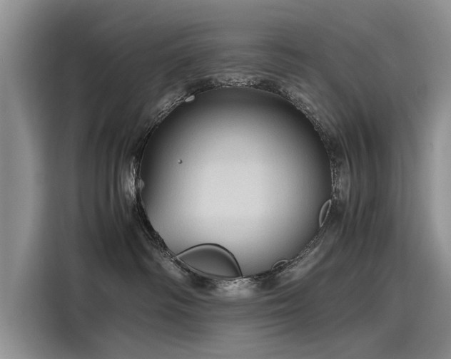 X0000116120334200911301332