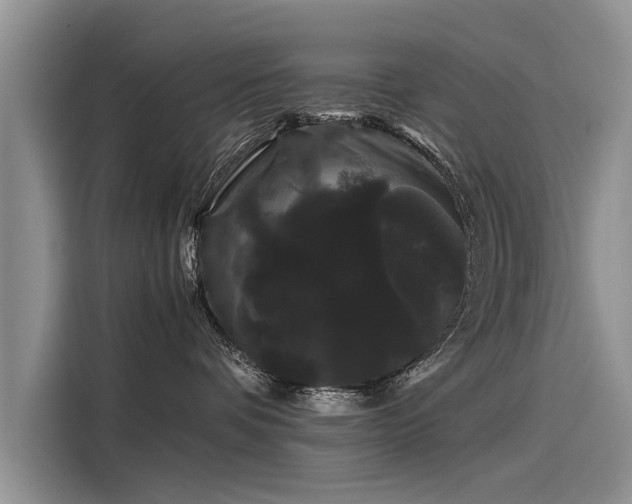 X0000116120336200911301332