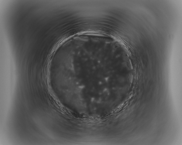 X0000116120337200911301331