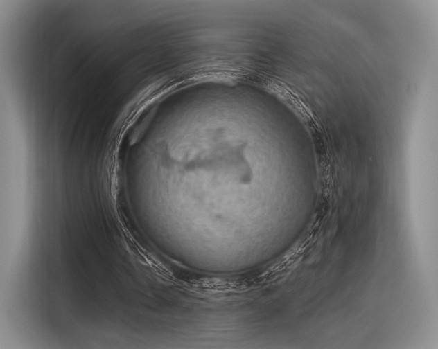 X0000116120338200911301331