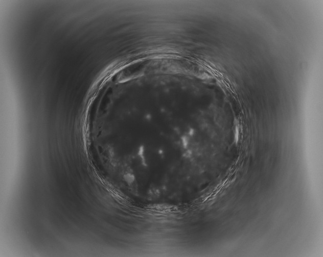 X0000116120339200911301331