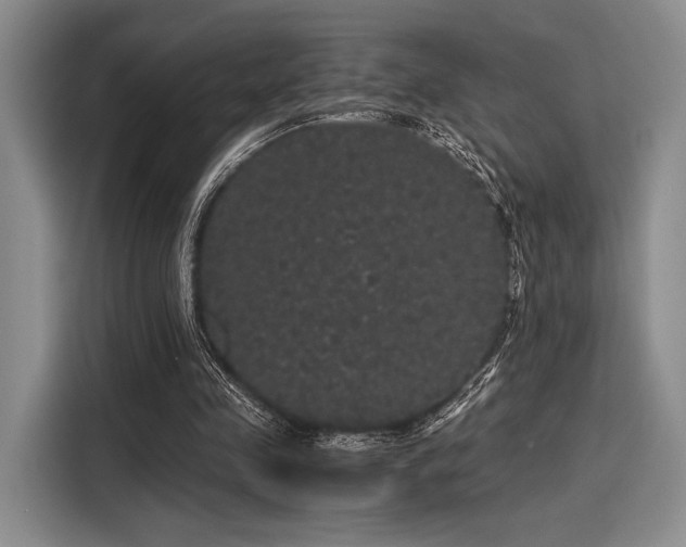 X0000116120341200911301331