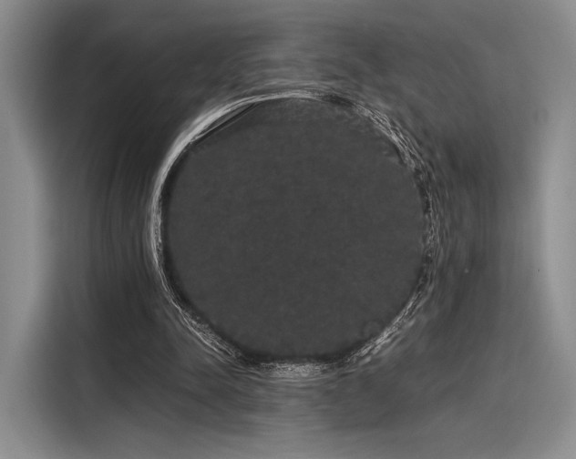 X0000116120342200911301331