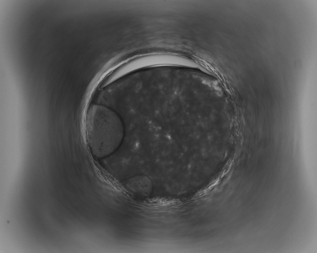 X0000116120343200911301331