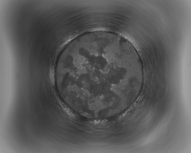 X0000116120345200911301331