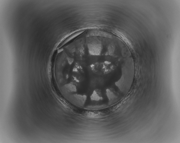 X0000116120346200911301331