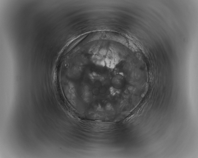 X0000116120347200911301331