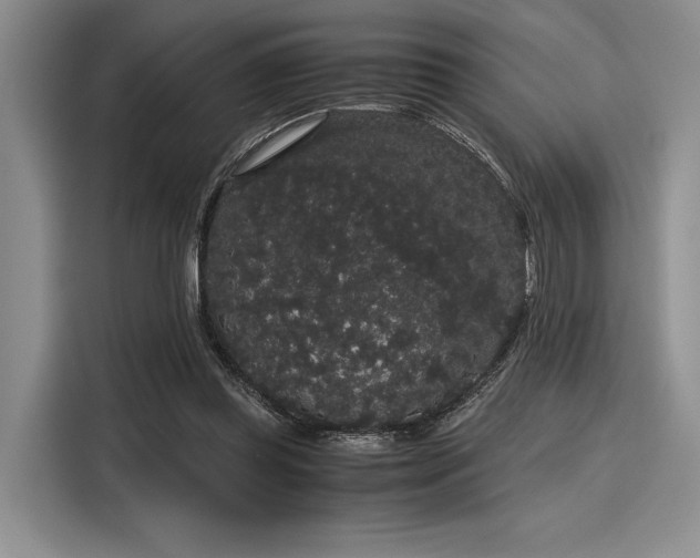 X0000116120349200911301331