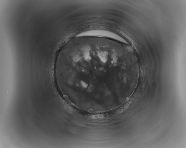 X0000116120353200911301331