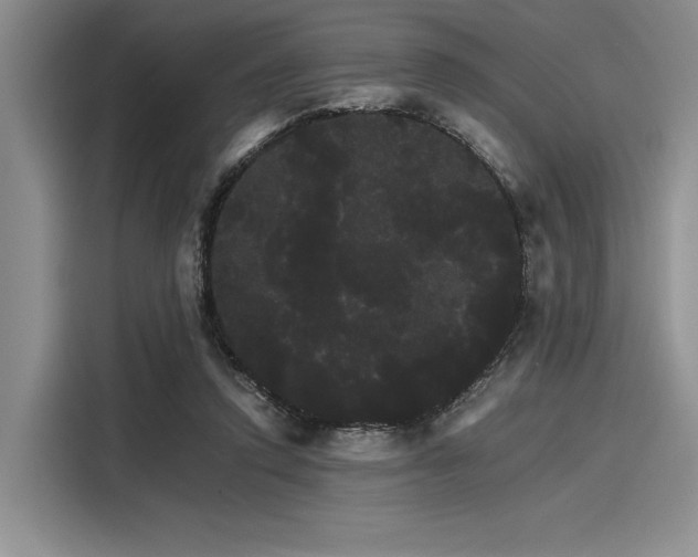 X0000116120354200911301331