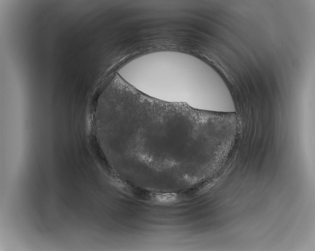 X0000116120355200911301331