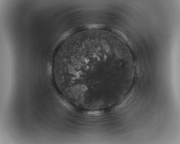 X0000116120357200911301331