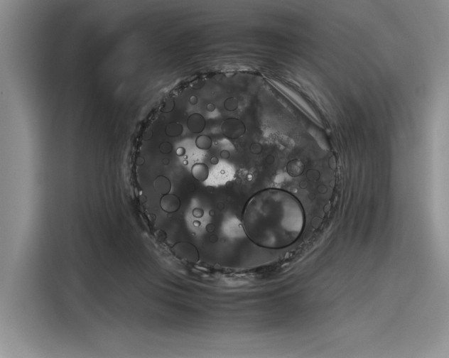 X0000116120359200911301331