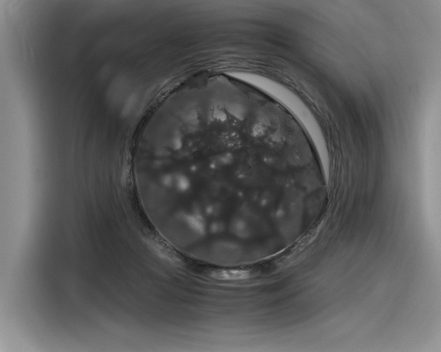 X0000116120361200911301331