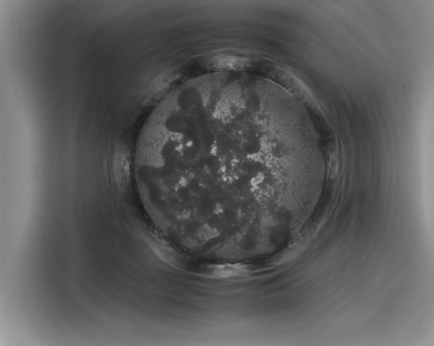 X0000116120363200911301332