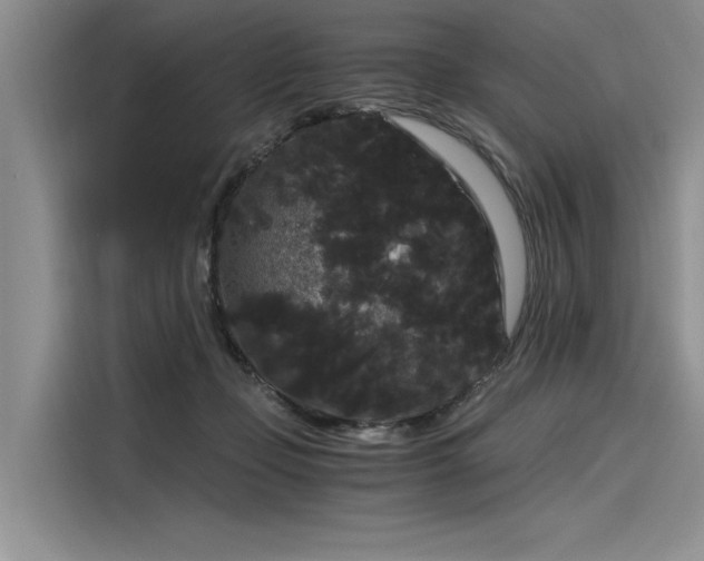 X0000116120365200911301332