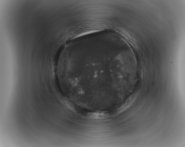 X0000116120366200911301332