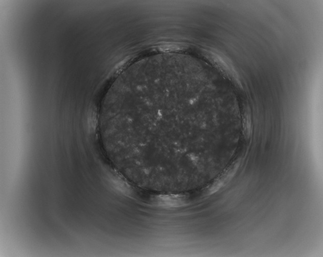 X0000116120367200911301332