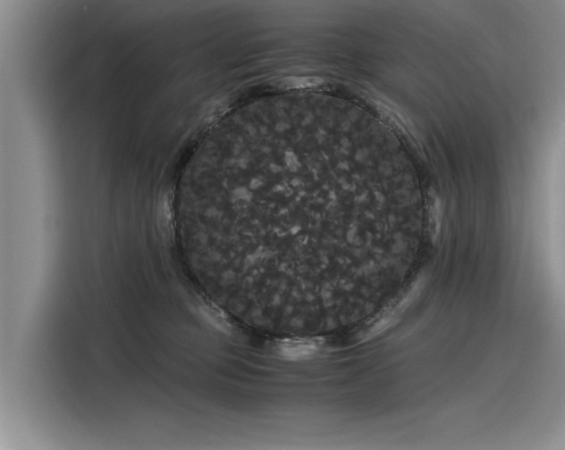 X0000116120373200911301332