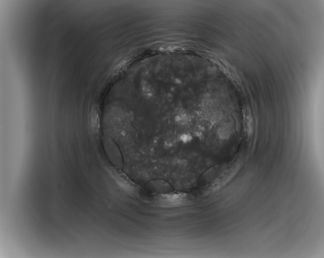 X0000116120375200911301332