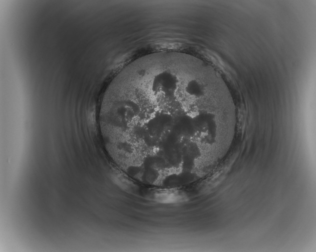 X0000116120377200911301332