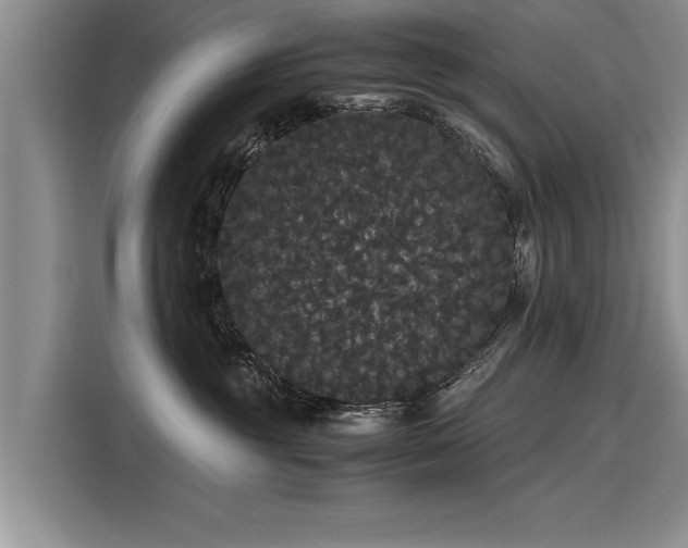 X0000116120381200911301332