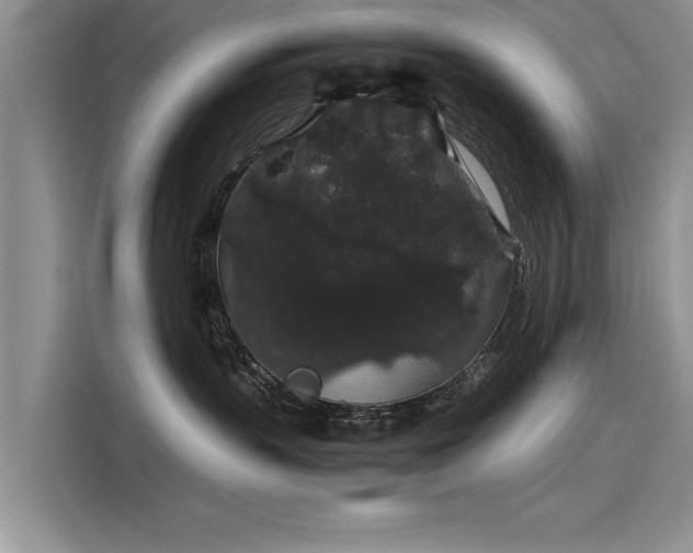 X0000116120383200911301332