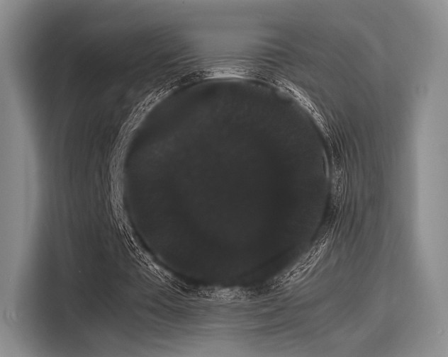 X0000116120385200911301331