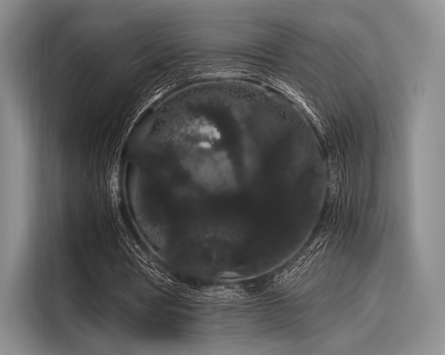 X0000116120386200911301331