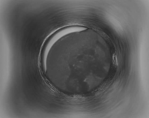 X0000116120388200911301331