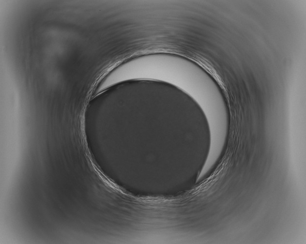 X0000116120389200911301331