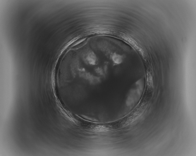 X0000116120390200911301331