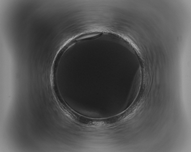 X0000116120391200911301331