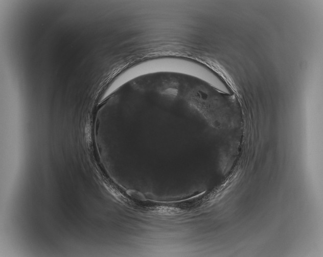 X0000116120393200911301331