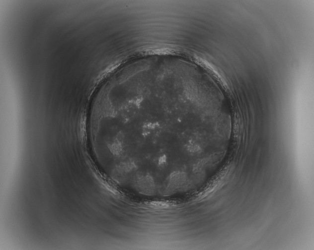 X0000116120394200911301331